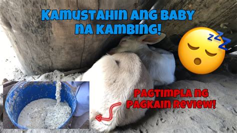 kinantot ang baboy|Studyante Kinantot Habang Natutulog – Pinayplus.